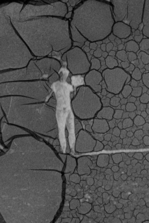 Tanatofobija (2023) poster