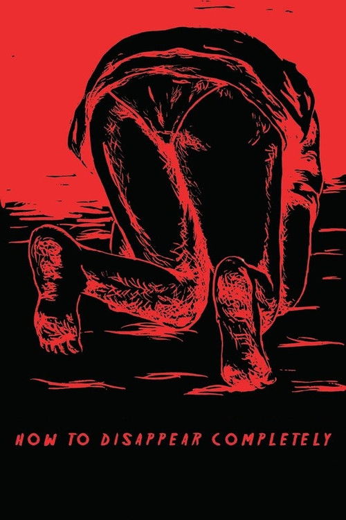 How to Disappear Completely (2013) poster