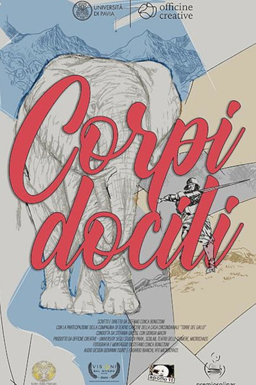 Docile bodies (2024) poster