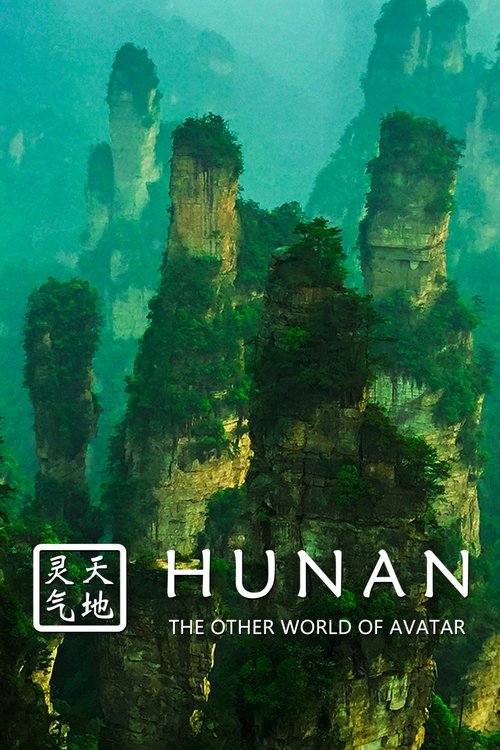 Hunan: The Other World of Avatar (2015) poster