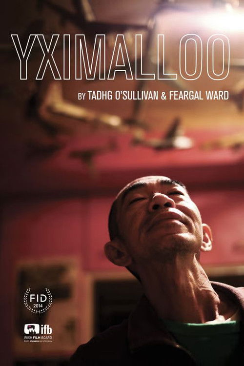 Yximalloo (2014) poster