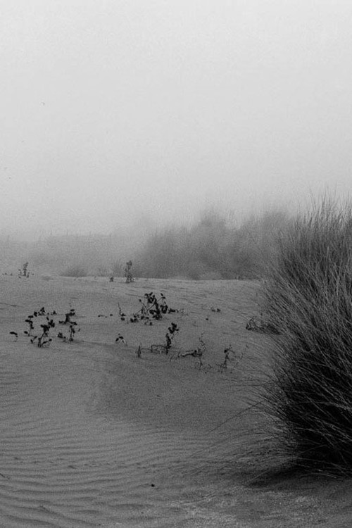 Sea Concrete Human — Malfunctions #1 (2001) poster