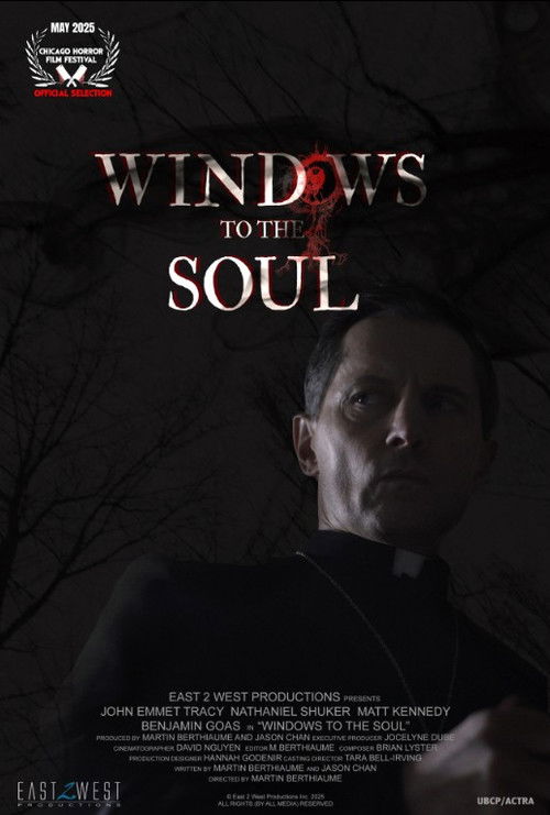 Windows to the Soul (2025) poster