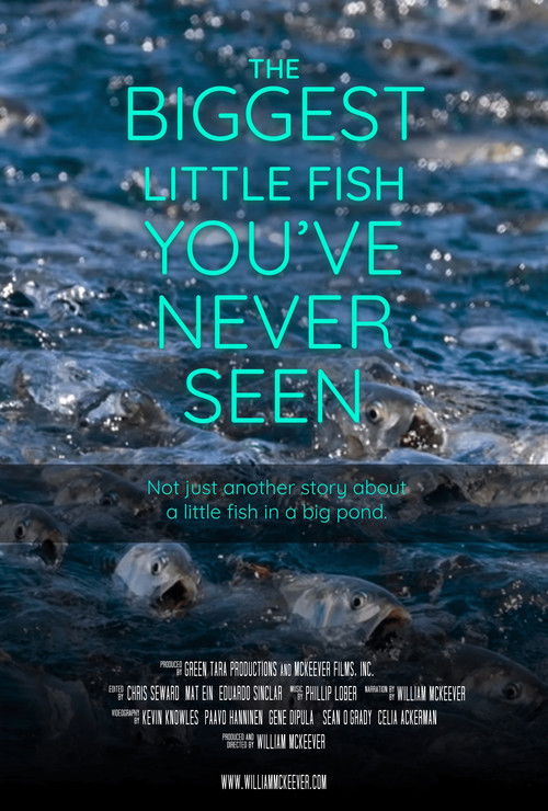 The Biggest Little Fish You've Never Seen (2024) poster