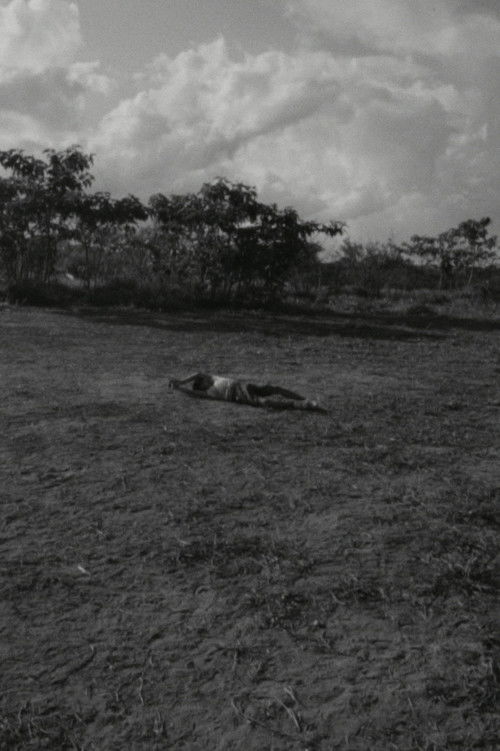 This Is Not the End (2023) poster