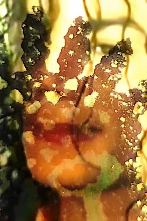 King of Sanwi (2020) poster