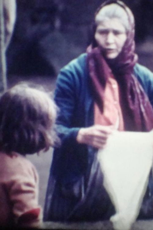 Sever do Vouga... Uma Experiência (1971) poster