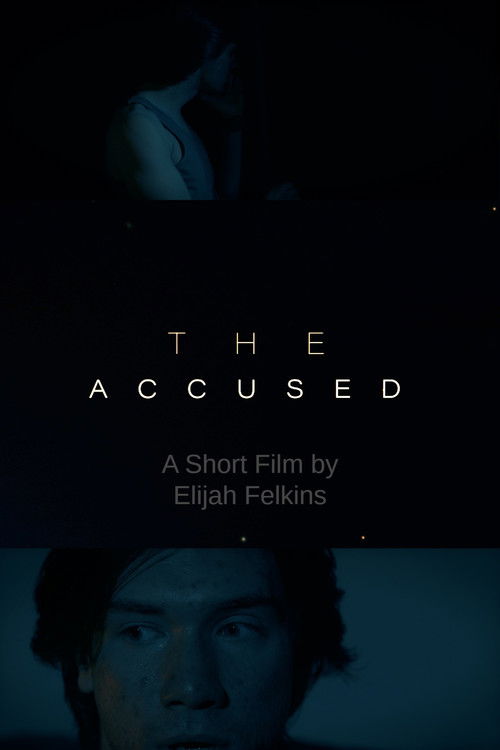 The Accused (2024) poster