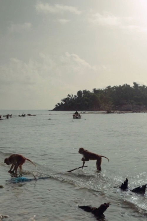 Cayo Santiago poster