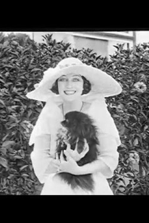 Our Film Stars (1919) poster