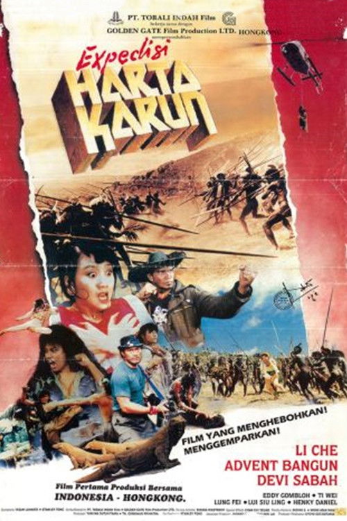 Treasure Expedition (1990) poster