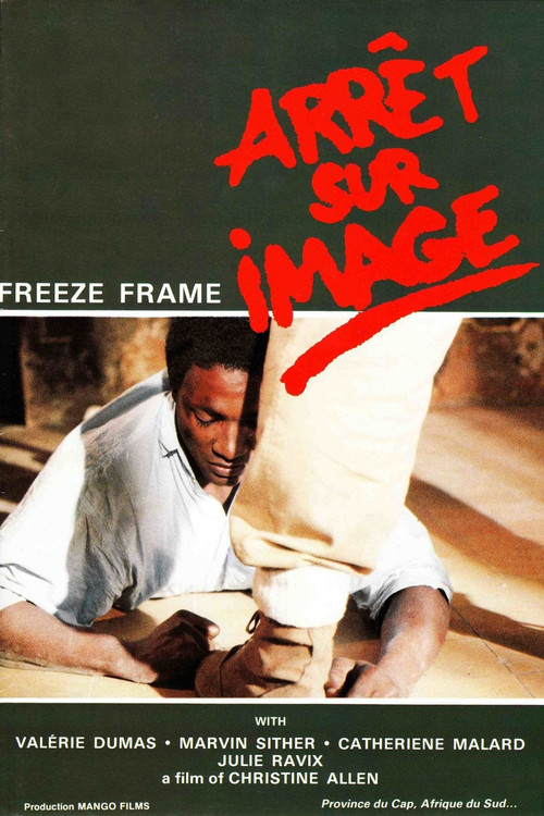 Arrêt sur image (1987) poster