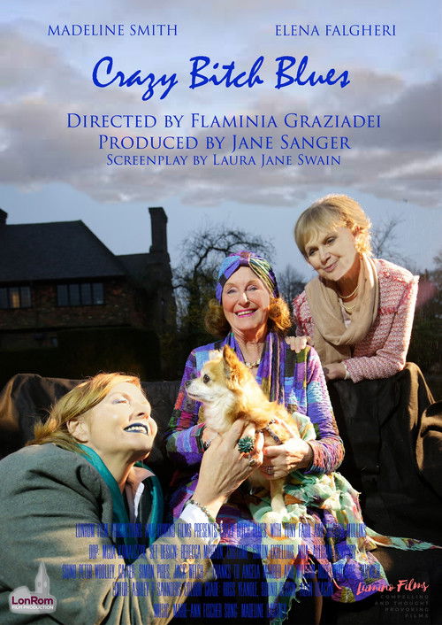 Crazy Bitch Blues (2020) poster