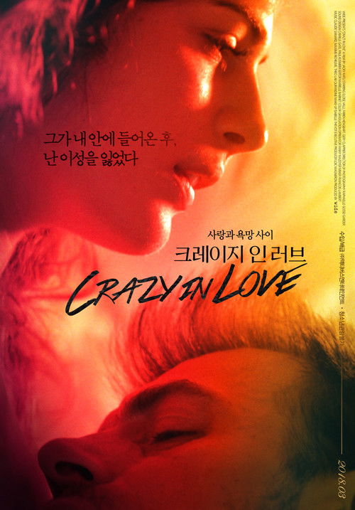 Crazy in Love (2018) poster