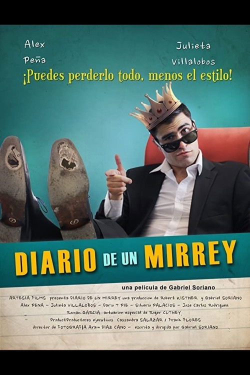 Diario de un Mirrey (2017) poster
