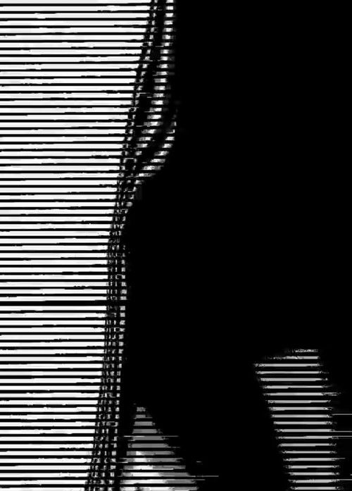 distorted areas~ (2008) poster