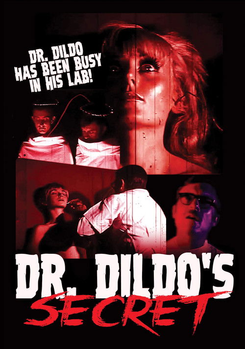 Dr. Dildo's Secret (1970) poster