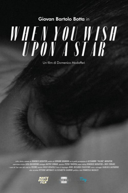 When You Wish Upon a Star (2022) poster