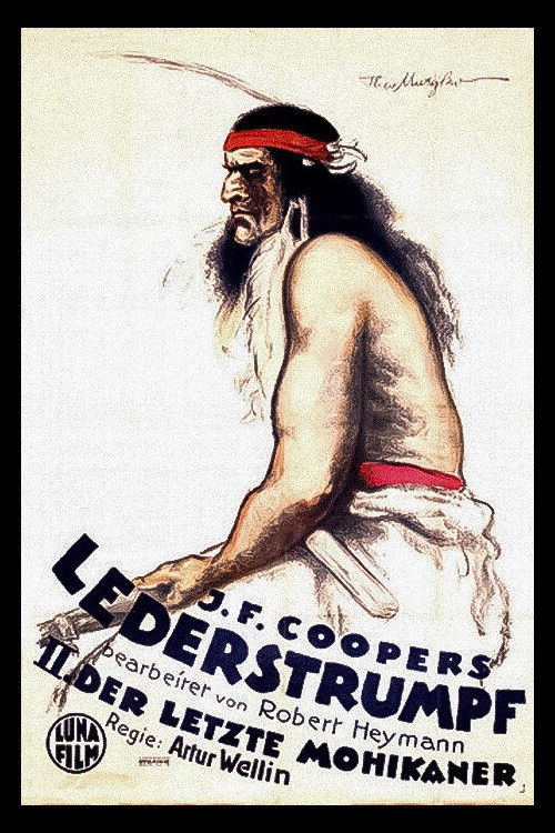 Deerslayer (1920) poster