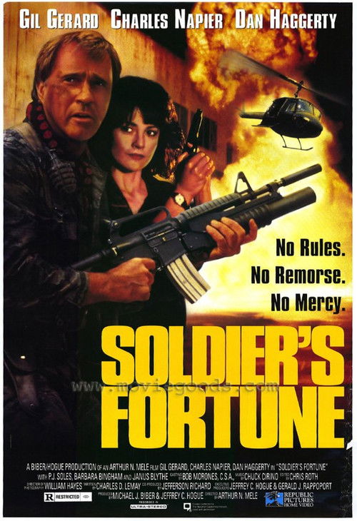Soldier's Fortune (1991) poster