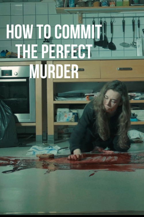 How to commit the perfect murder (2025) poster