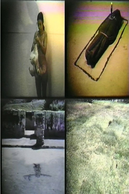 Ana Mendieta: Selected Film Works (1981) poster