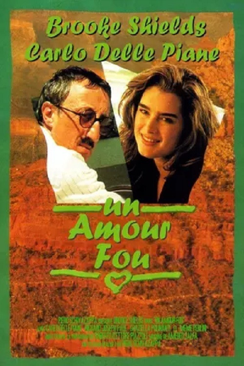 Un amore americano (1994) poster