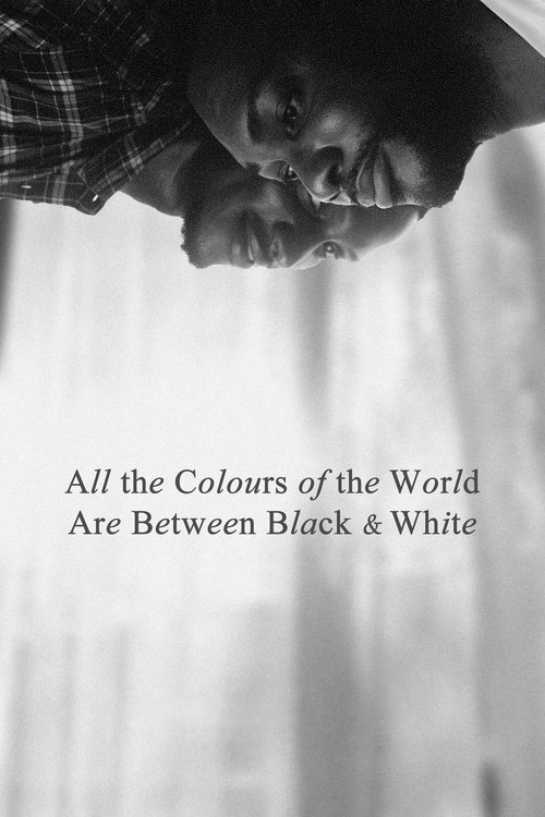 All the Colours of the World Are Between Black and White (2023) poster