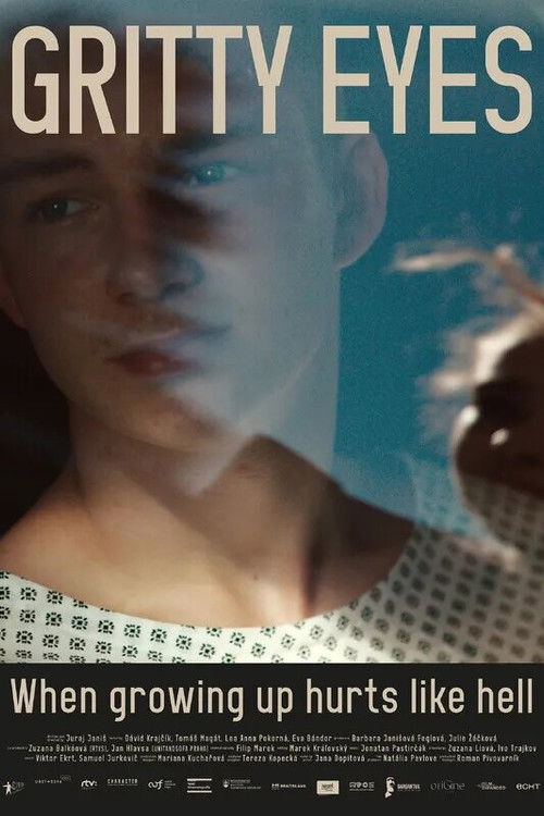 Oči plné piesku (2024) poster