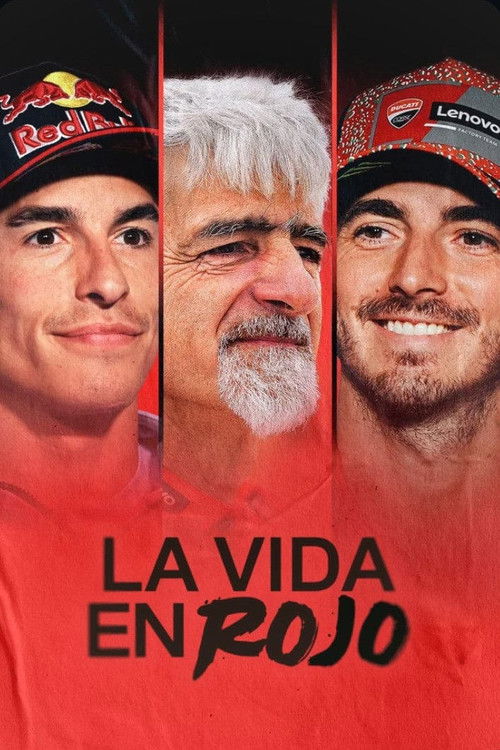 La vida en Rojo 2025 (2024) poster