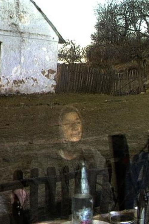 Lindenfeld 1994 (1994) poster