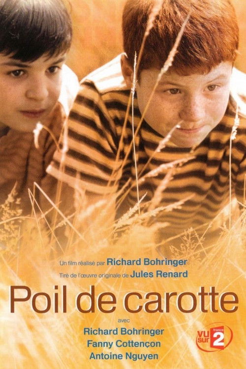 Poil de carotte (2003) poster