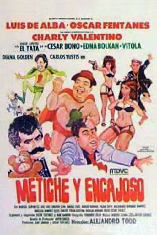Metiche y encajoso (1989) poster