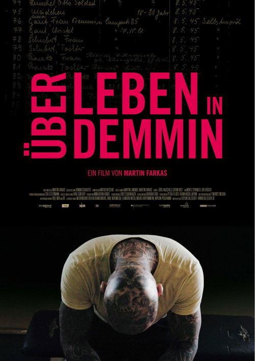 Living in Demmin (2017) poster