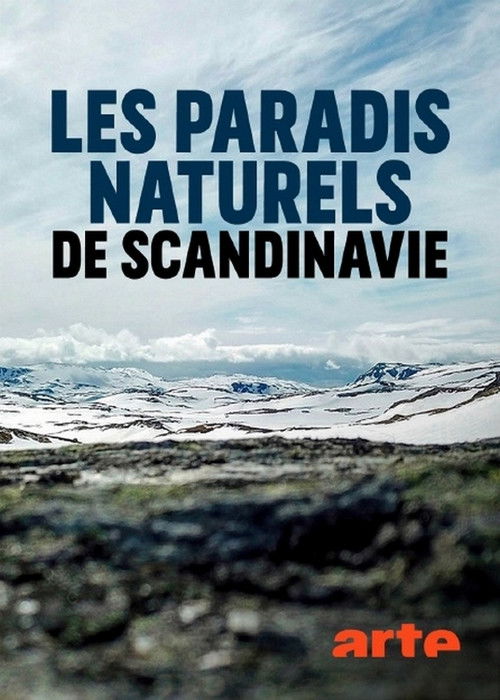 Skandinavien ersteckte Paradiese (2019) poster