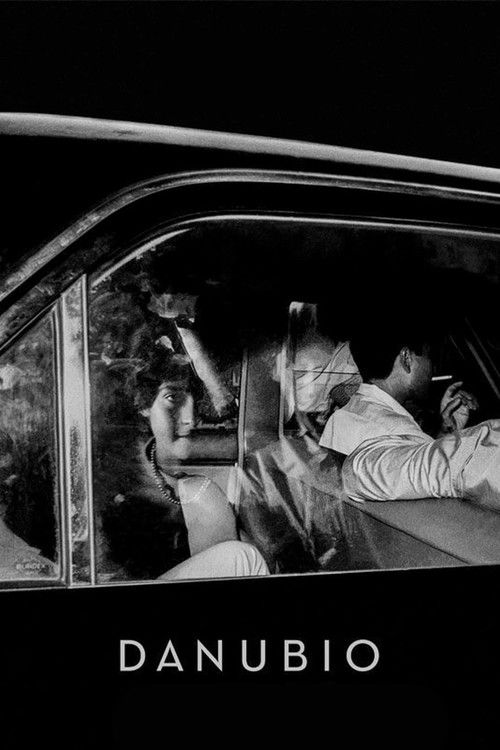 Danube (2021) poster