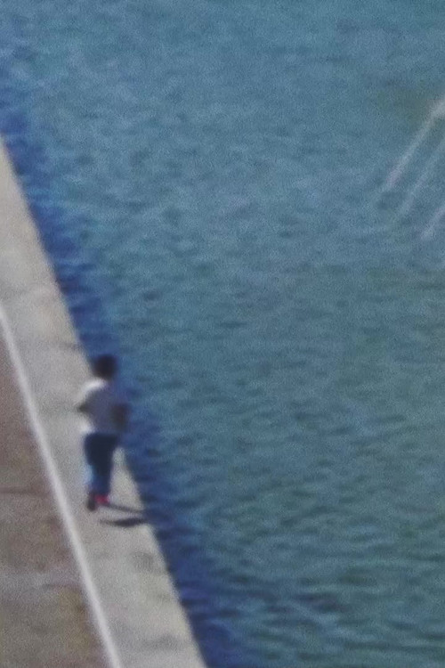 tenho olhado bastante pras coisas (2024) poster