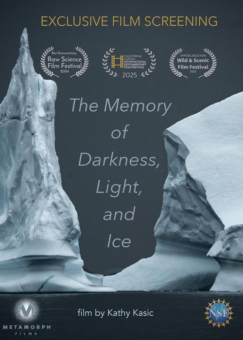Memory of Darkness Light and Ice (2025) poster