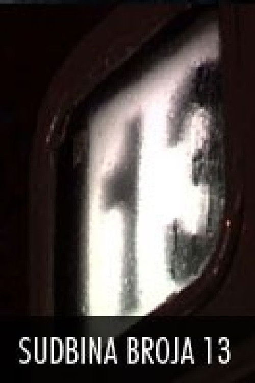 The Destiny of Line 13 (2010) poster