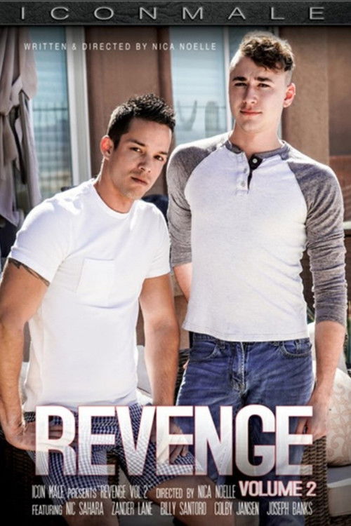 Revenge 2 (2019) poster