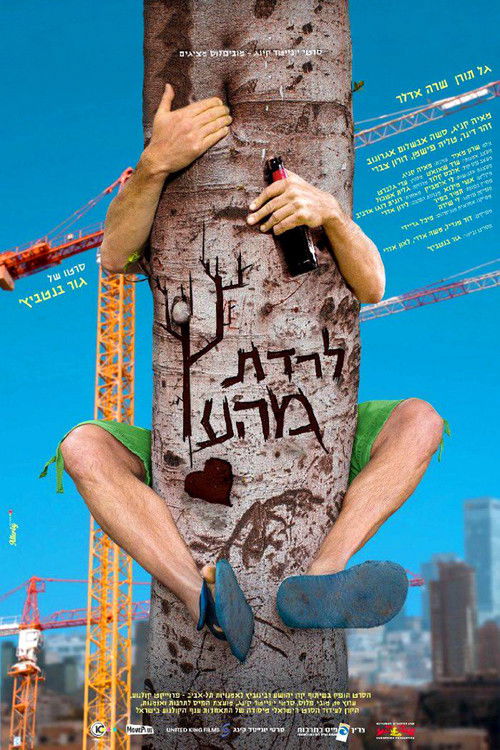 Up The Wrong Tree (2013) poster