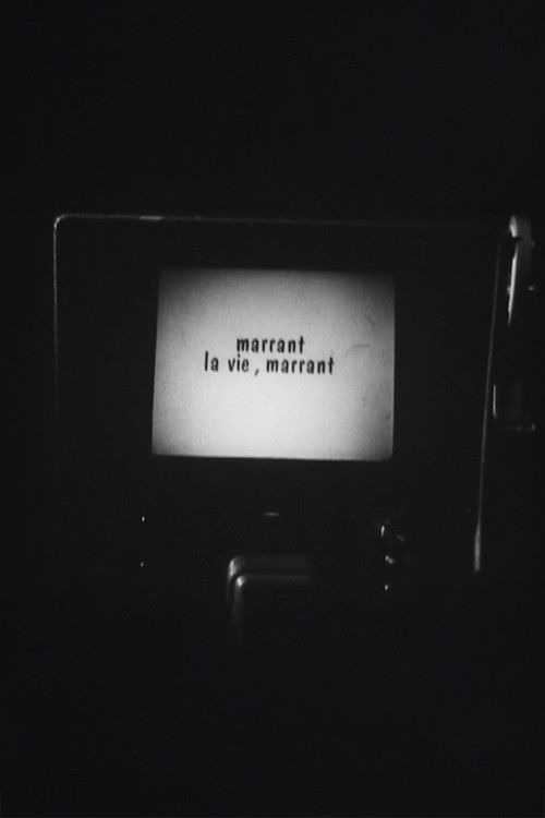 Marrant la vie, Marrant ! (1985) poster