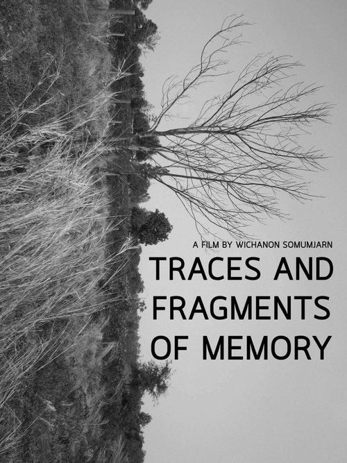 Traces and Fragments of Memory (2020) poster