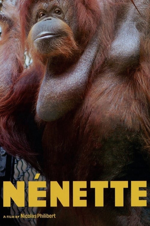 Nénette (2010) poster