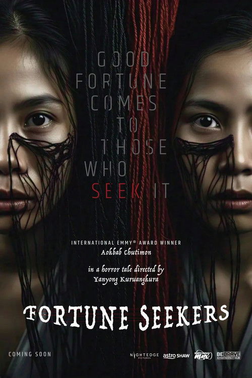 Fortune Seekers poster