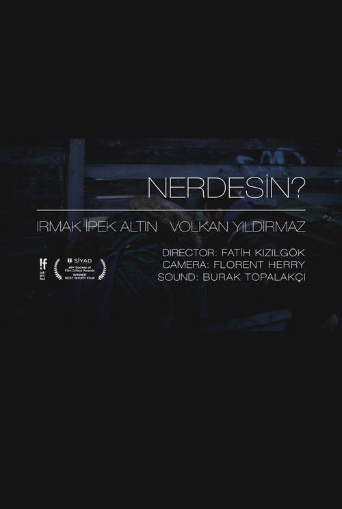 Where Are You? (2012) poster