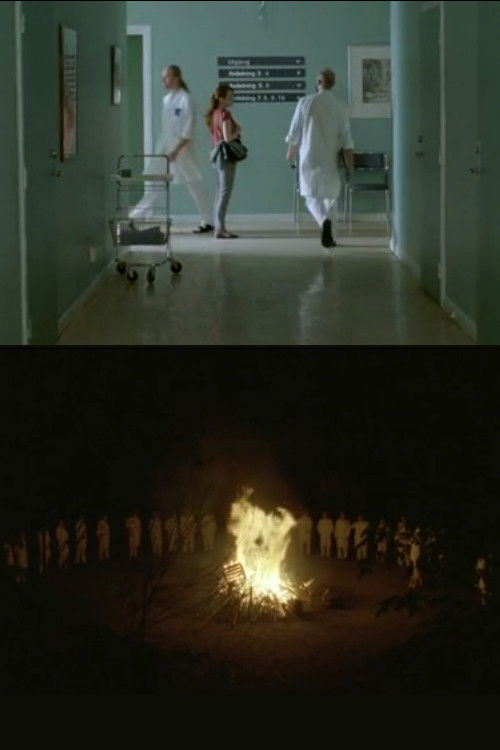 The Rite Of Spring (2008) poster