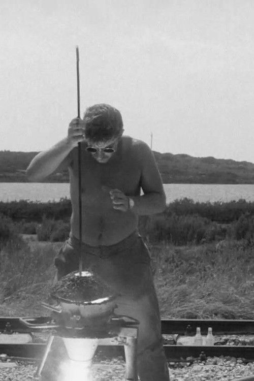 על פסים חדשים (1966) poster