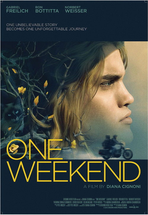 One Weekend (2014) poster