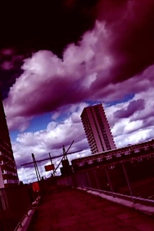 Goldie: When Saturn Returns (1998) poster